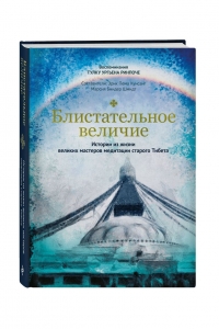 Купить  книгу Блистательное величие Тулку Ургьен Ринпоче в интернет-магазине Роза Мира