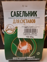 САБЕЛЬНИК БОЛОТНЫЙ. 