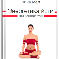 Купить  книгу Энергетика йоги Мел Нина в интернет-магазине Роза Мира