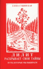 Купить  книгу Лилит раскрывает свои тайны 2. Пути, которые мы выбираем Сущинская Елена в интернет-магазине Роза Мира