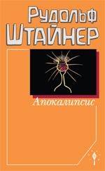 Купить  книгу Апокалипсис Штайнер Рудольф в интернет-магазине Роза Мира