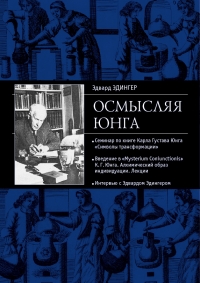 Купить  книгу Осмысляя Юнге Эдингер Эдвард в интернет-магазине Роза Мира