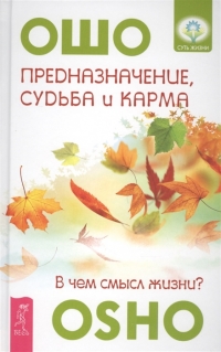 Предназначение, судьба и карма. В чем смысл жизни?. 